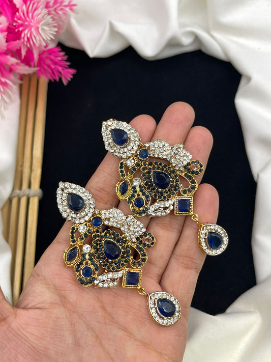 Stylish Earrings two tone polish